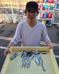 マリーナシティ海釣り公園 サビキで豆アジ&イワシ入れたらかかる！