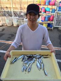 マリーナシティ海釣り公園 サビキで豆アジ&…