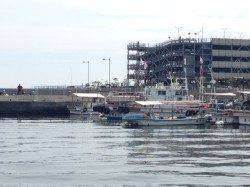 垂水漁港　胴突きにタケノコメバル16cm