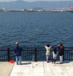 神戸空港での投げ釣り＆探り釣りの釣果