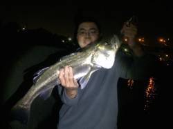 石津川河口にてアタリ連発、シーバス6本キャ…