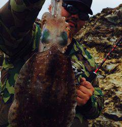 TEAM墨侍 KING様よりデュエル【DUEL EZ-Q CAST】エギングのアオリイカ狙い　和歌山県南紀でのインプレッション！