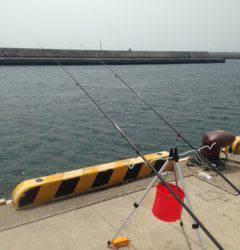 須磨エリア、遠投はやめてちょい投げしたらカレイをGET！