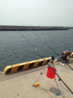 須磨エリア、遠投はやめてちょい投げしたらカレイをGET！