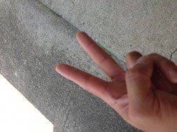 深日漁港　エギングでアオリイカ＆コウイカ☆　潮が動いたタイミングでヒット