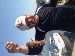 新浜漁港　朝５時半からの投げ釣りでガシラ＆アイナメ