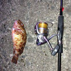 北港魚つり公園 胴付とジグヘッドでガシラのアタリ出続けました