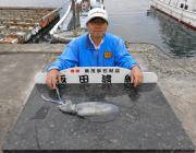 黒島の磯でアオリイカ、ヤエンでの釣果