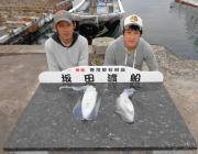 黒島の磯でアオリイカ、ヤエンでの釣果