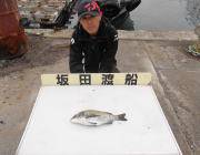 黒島の磯　オキアミフカセのチヌ釣果