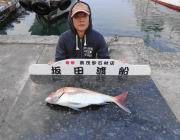 ルアーでマダイ60cmがHIT！ 黒島の磯…