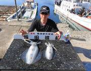 黒島の磯アオリイカ〜ヤエン・エギともよく釣れだしてきました♪