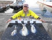 黒島の磯アオリイカ〜ヤエン・エギともよく釣…