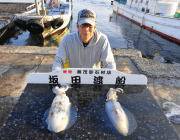 夜釣り、通しでアオリイカ〜黒島の磯ヤエン・エギング・ウキ