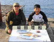 黒島の磯　ミノーでハマチをキャッチ