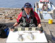 エギングとヤエンでのアオリイカ釣果　黒島の…