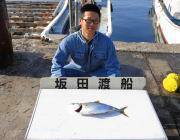 黒島の磯　ルアーでハマチ・サゴシ