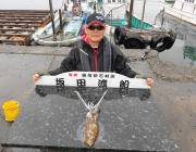 黒島の磯　エギングでアオリイカの釣果