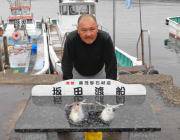 黒島の磯　エギングでアオリイカの釣果