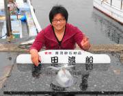 黒島の磯　ヤエンでアオリイカの釣果