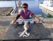 黒島の磯 エギングでアオリイカ1.7kg