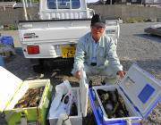 黒島の磯でバリコ大漁450匹！