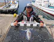 黒島の磯　エギングで1.4kgのアオリイカ