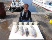 2kgクラスのアオリイカ釣果！　黒島の磯で…