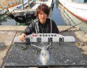 筏でエギング、磯でヤエン釣りでのアオリイカ…