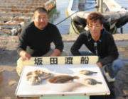 湾内の筏 のませ釣りでヒラメの釣果