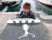 黒島の筏と磯でヤエン釣果あり、アオリイカ一人で4ハイの方も