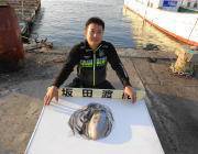 黒島の磯 ヤエンで2.2kgのアオリイカ☆