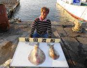 黒島の磯 ヤエンで2.2kgのアオリイカ☆…