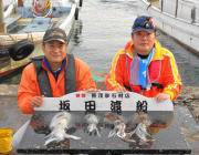 黒島の磯　ヤエンでアオリイカ1.5kgを頭に4ハイ