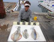 やったぜーアオリイカ1.8kg☆ 黒島の磯…