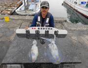 黒島の磯のアオリイカ、ヤエンでの釣果