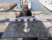 【21日】黒島の磯ヤエンでのアオリイカ釣果…