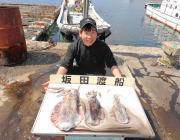 ヤエンのアオリイカ釣果☆黒島の筏&…