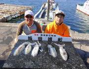 黒島の磯のエギング釣果