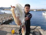 黒島の磯のヤエン釣り☆超大物アオリイカ3.…