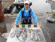 黒島の磯　アジカラーのエギでアオリイカ0.…