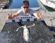 黒島の磯 ヤエンで1.7kgのアオリイカ