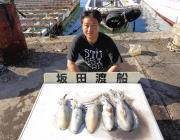 黒島の磯のエギングでアオリイカ5ハイ