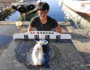 黒島の磯 ヤエンで1.7kgのアオリイカ