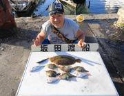 黒島の筏 のませ釣りでヒラメの釣果