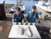 黒島の磯でのヤエン釣果〜アオリイカ2キロ級も上がってます