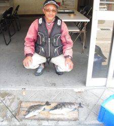 大磯でマダイ・チヌ、キハチ磯でチヌの釣果