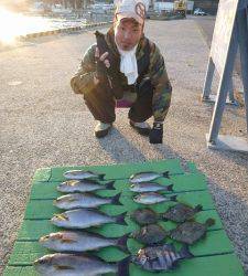 ヒラバエのカゴ釣り釣果〜大きなイサギが釣れてます！