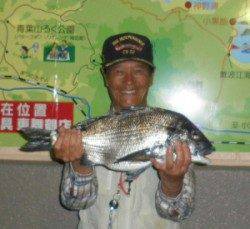佐波賀地磯でチヌ53cm！平道沿いでも良型チヌ