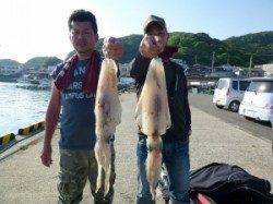 神谷一文字 ヤエン&ウキ釣りでのアオリイカ